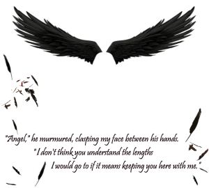 Quote from Hush Hush, made by me :)