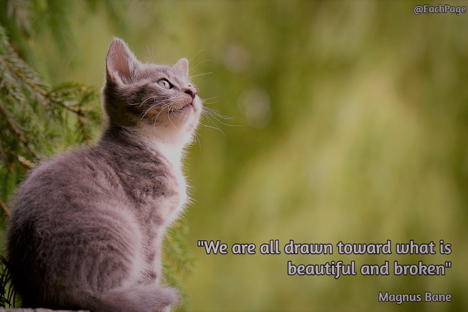 magnus-bane-quote-broken-things