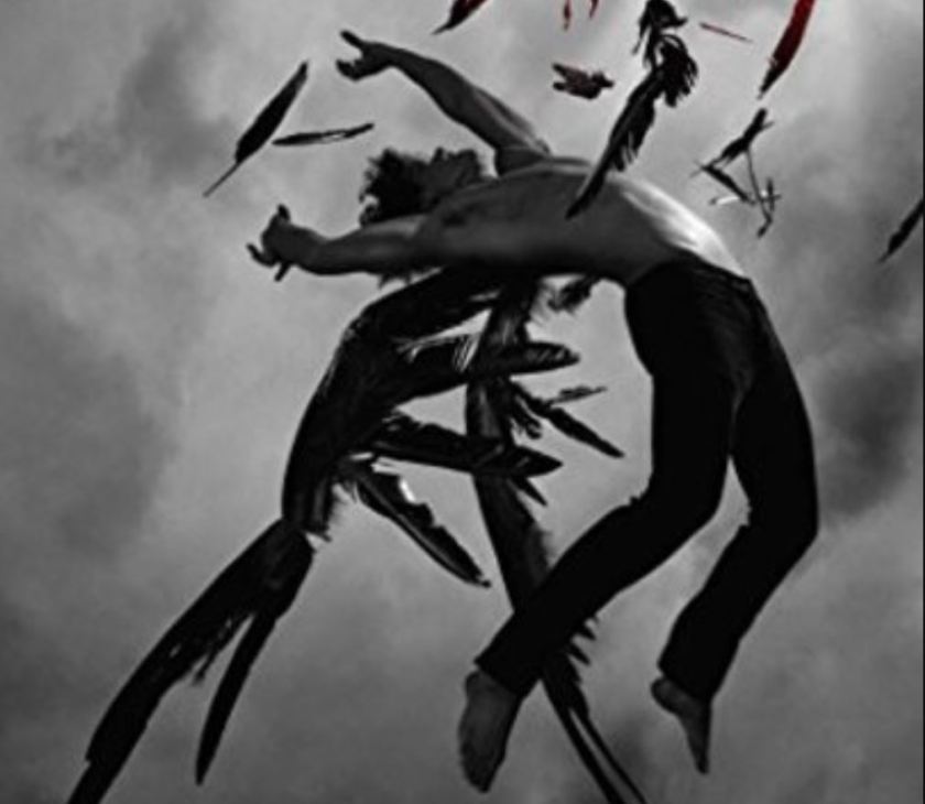 patch cipriano hush hush books