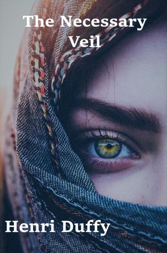 the necessary veil book