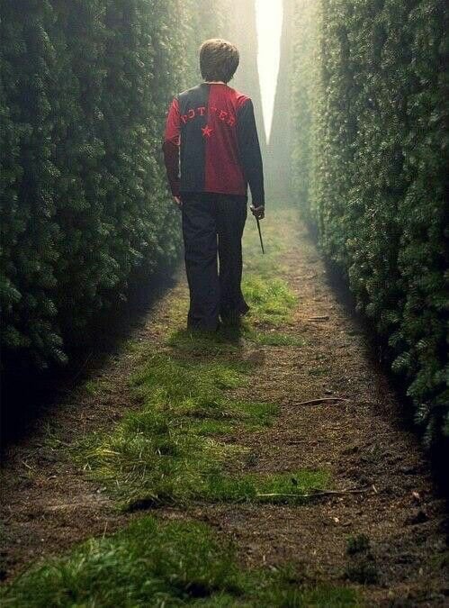 harry potter 4 daniel radcliffe