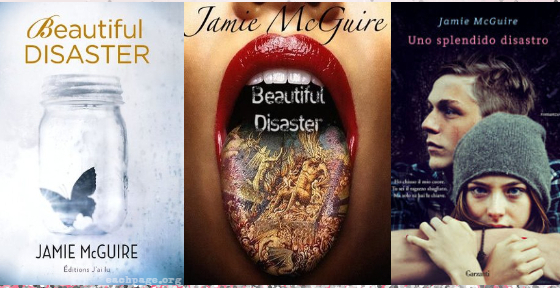 Beautiful Disaster: About the&nbsp;Book