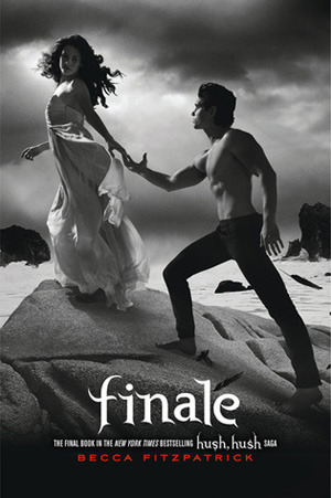 finale book cover