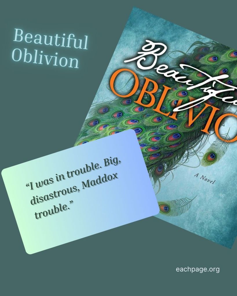 beautiful oblivion book