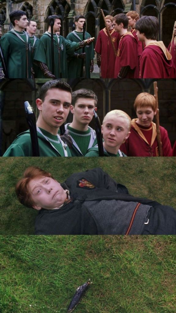 the chamber of secrets quidditch 