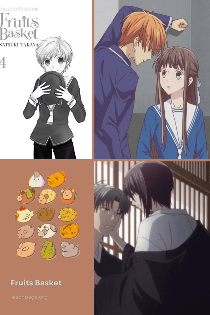 about 'fruits basket' anime manga